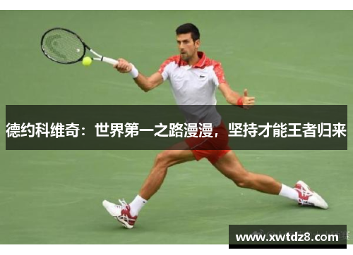 德约科维奇：世界第一之路漫漫，坚持才能王者归来