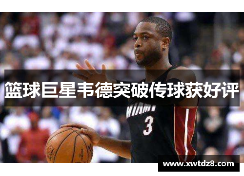 篮球巨星韦德突破传球获好评